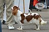 DSC_4431.jpg