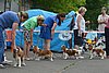 DSC_4454.jpg