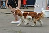 DSC_4474.jpg