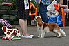 DSC_4537.jpg