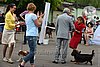 DSC_4565.jpg