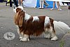 DSC_4582.jpg