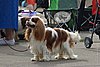 DSC_4611.jpg