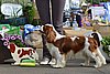 DSC_4623.jpg