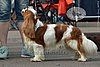 DSC_4669.jpg