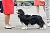 DSC_4768.jpg