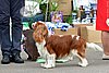 DSC_4801.jpg