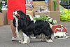 DSC_4815.jpg