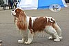 DSC_4835.jpg