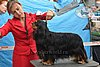 DSC_4849.jpg