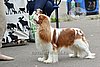 DSC_4906.jpg