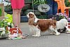DSC_4961.jpg