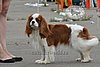DSC_5094.jpg