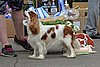 DSC_5109.jpg