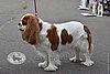 DSC_5197.jpg