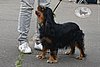 DSC_5199.jpg