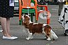 DSC_5303.jpg