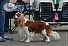 DSC_5311.jpg