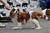 DSC_5349.jpg