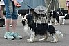 DSC_5353.jpg