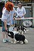 DSC_5432.jpg